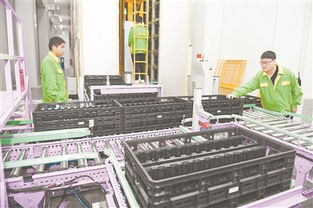 绿色能源扬帆海外 余姚佳贝思以技术开发引领市场新篇